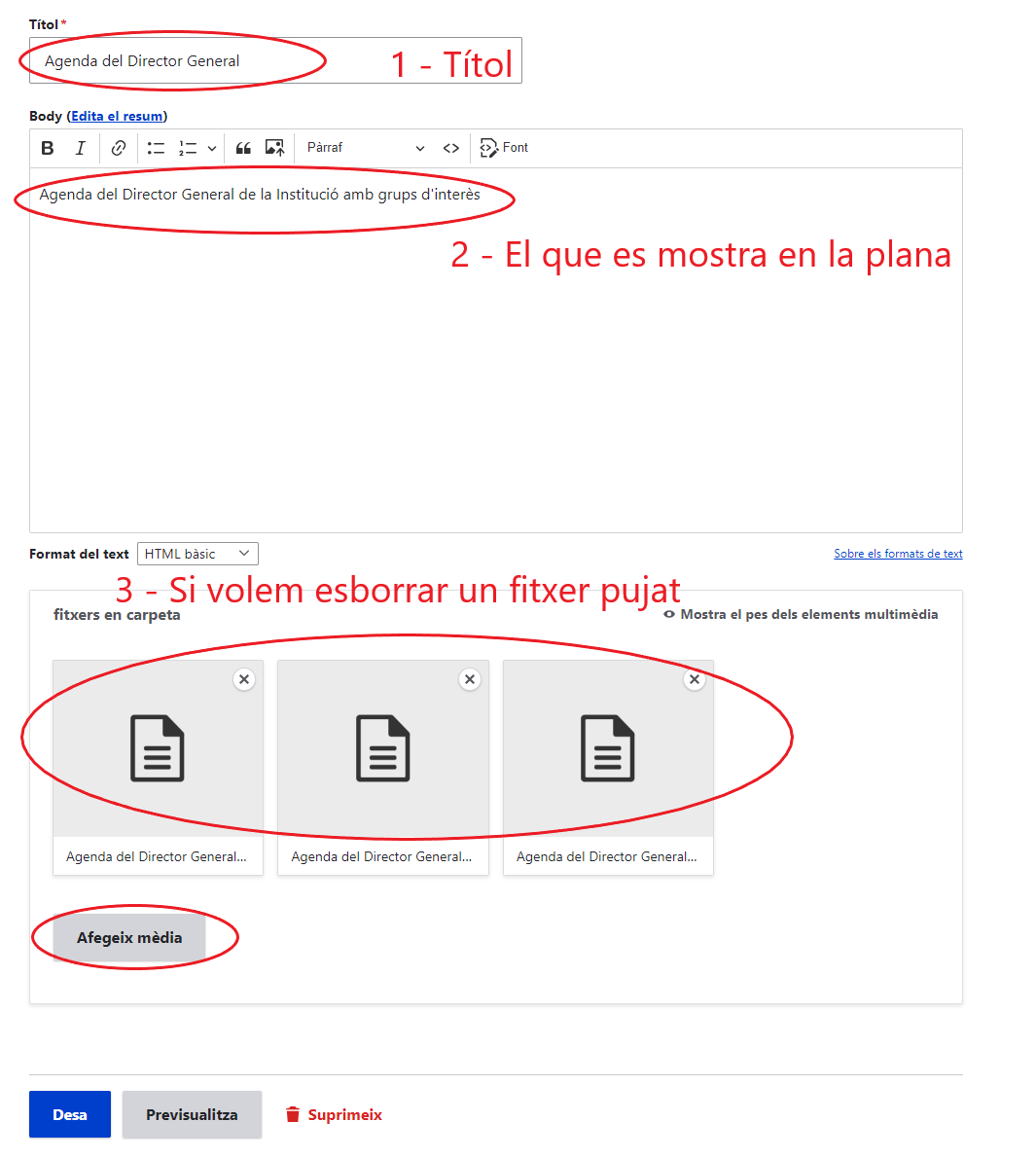 Aquesta imatge s'ha eliminat. Per raons de seguretat, només s'accepten imatges ubicades en aquest domini. Imatge eliminada.
